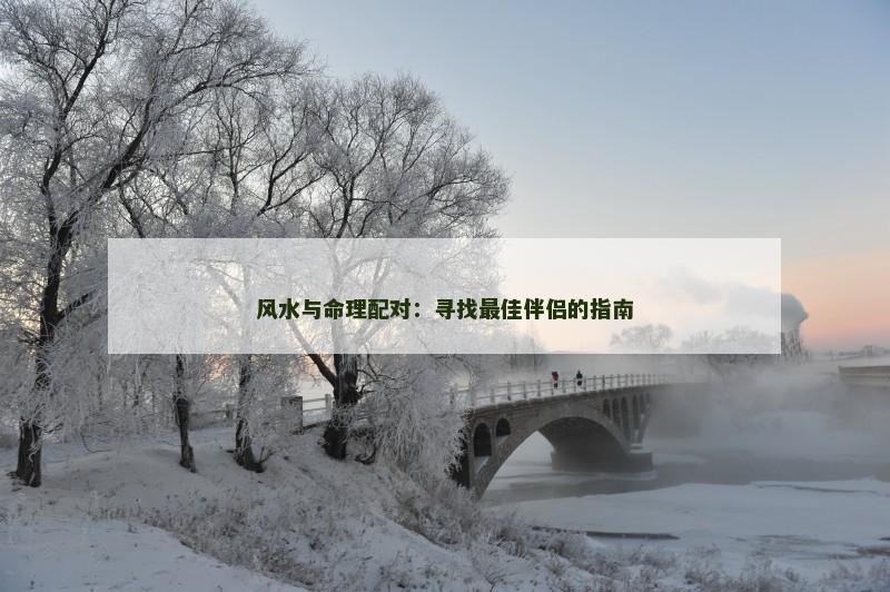 风水与命理配对：寻找最佳伴侣的指南