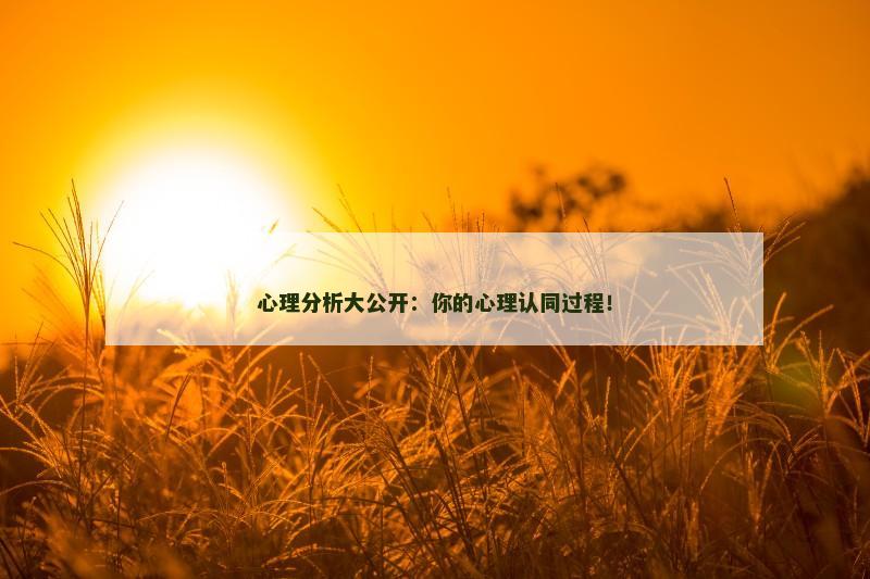 心理分析大公开：你的心理认同过程！