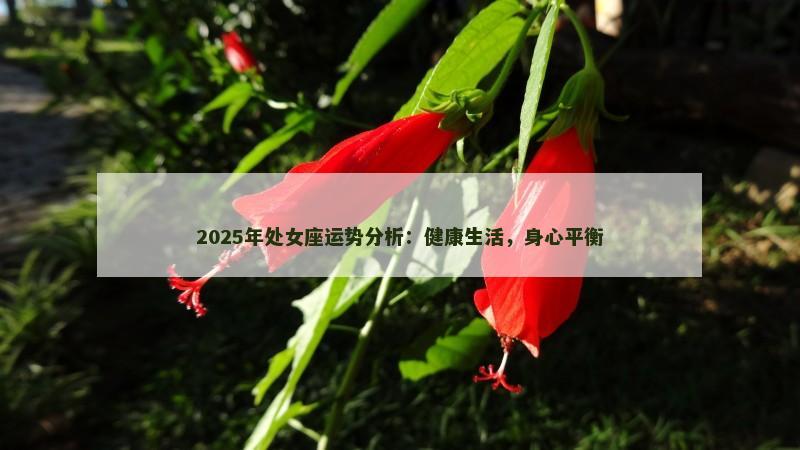 2025年处女座运势分析：健康生活，身心平衡