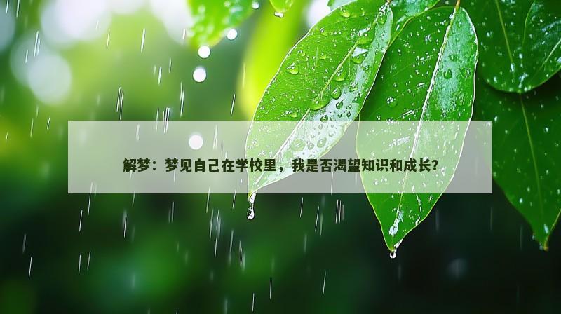 解梦：梦见自己在学校里，我是否渴望知识和成长？