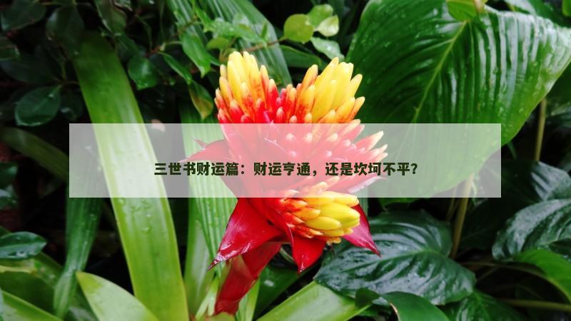 三世书财运篇：财运亨通，还是坎坷不平？