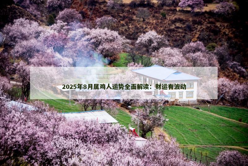 2025年8月属鸡人运势全面解读：财运有波动