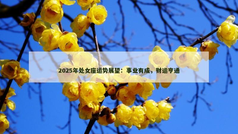 2025年处女座运势展望：事业有成，财运亨通