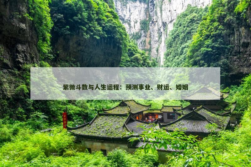 紫微斗数与人生运程：预测事业、财运、婚姻