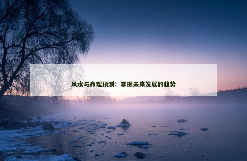 风水与命理预测：掌握未来发展的趋势