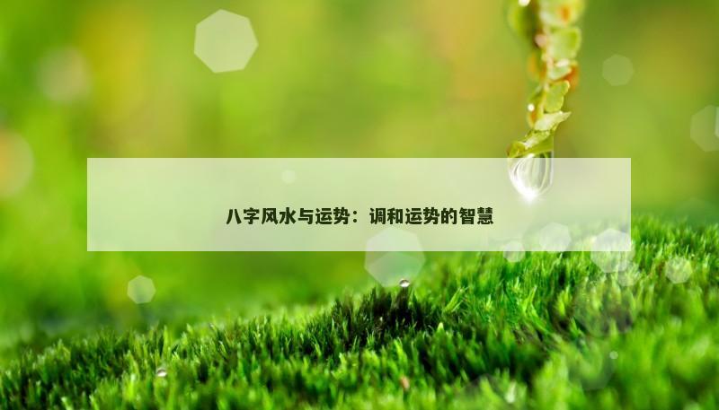 八字风水与运势：调和运势的智慧