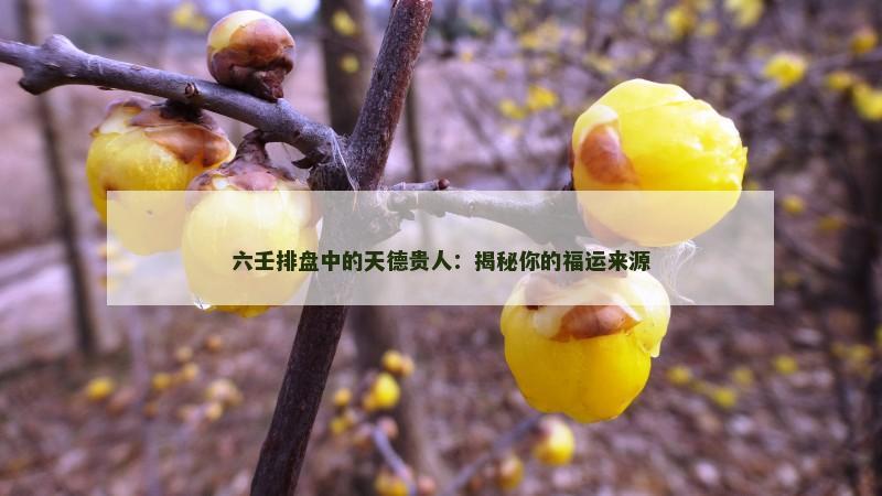 六壬排盘中的天德贵人：揭秘你的福运来源