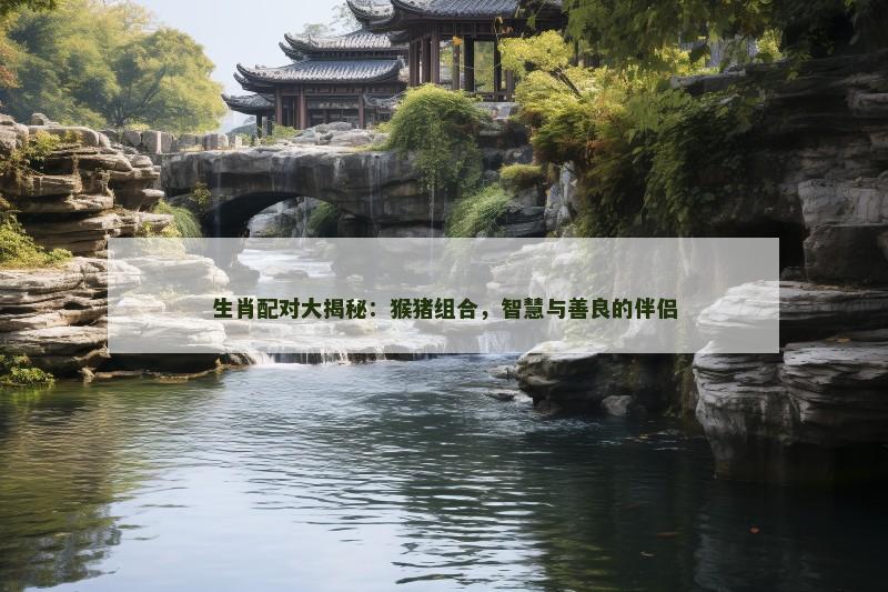 生肖配对大揭秘：猴猪组合，智慧与善良的伴侣