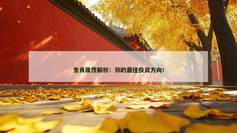 生肖属性解析：你的最佳投资方向！