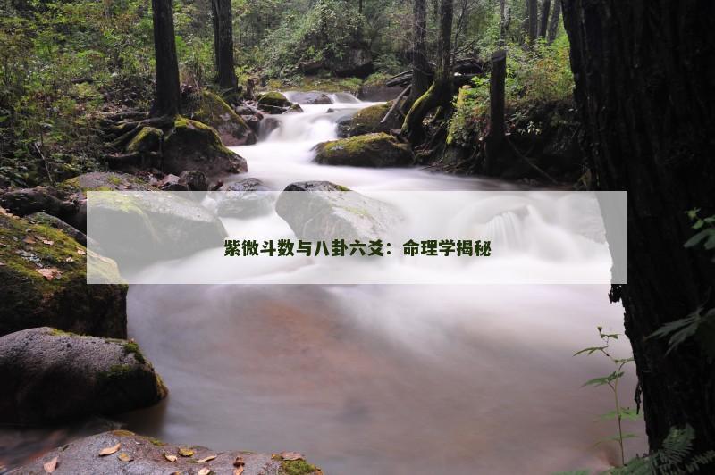 紫微斗数与八卦六爻：命理学揭秘
