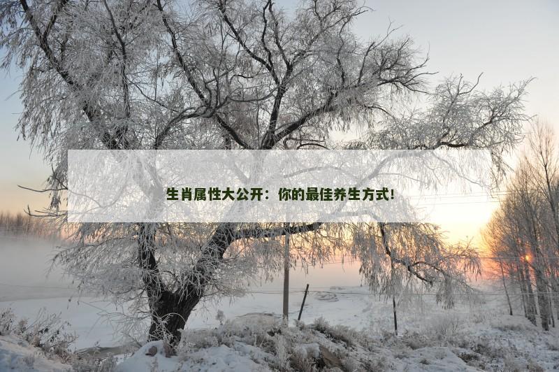 生肖属性大公开：你的最佳养生方式！