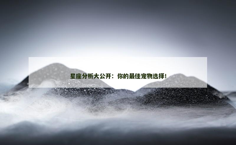 星座分析大公开：你的最佳宠物选择！