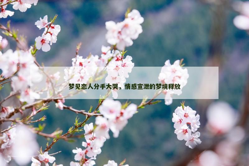 梦见恋人分手大哭，情感宣泄的梦境释放