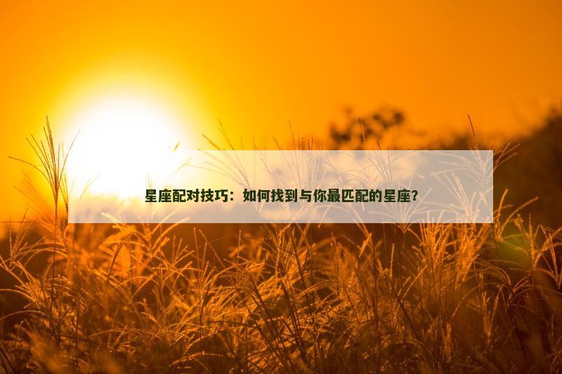 星座配对技巧：如何找到与你最匹配的星座？