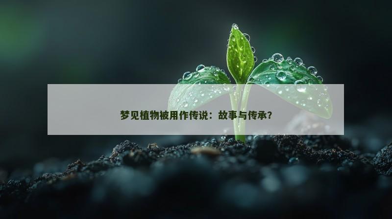 梦见植物被用作传说：故事与传承？