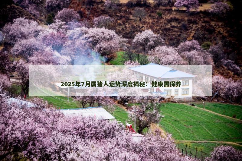 2025年7月属猪人运势深度揭秘：健康需保养