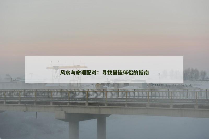 风水与命理配对：寻找最佳伴侣的指南