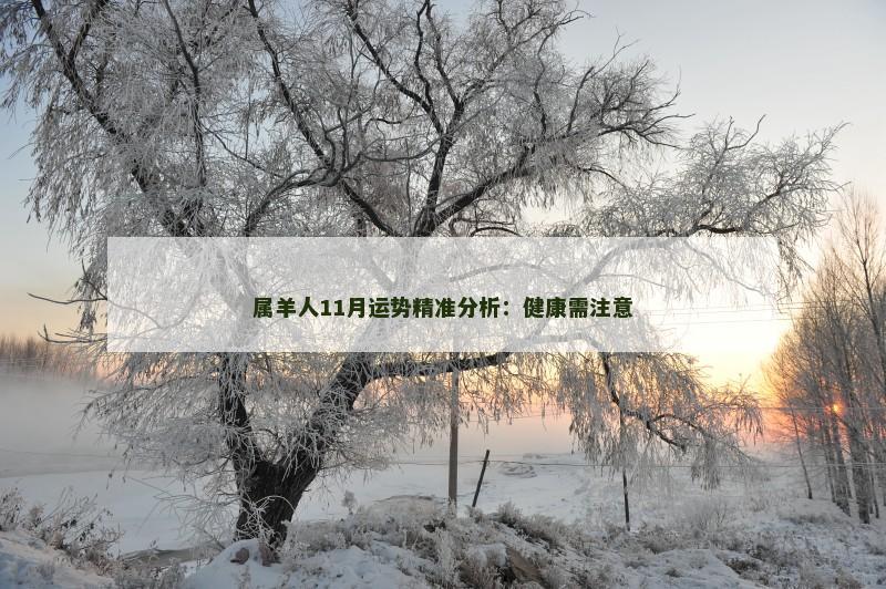 属羊人11月运势精准分析：健康需注意