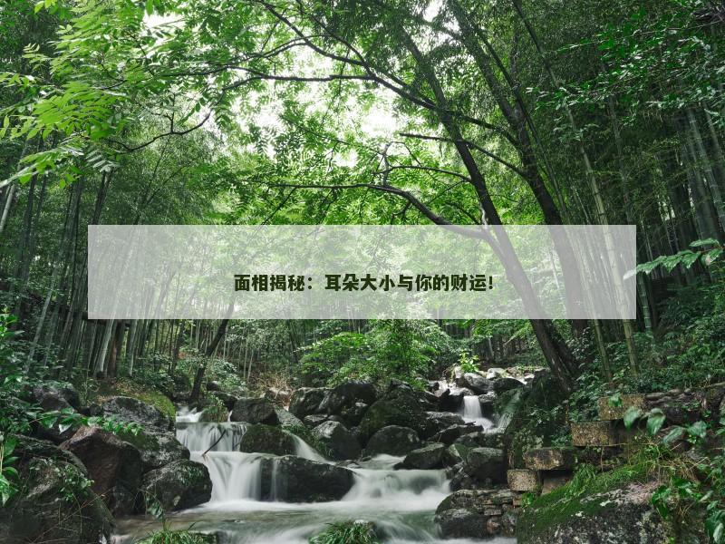 面相揭秘：耳朵大小与你的财运！