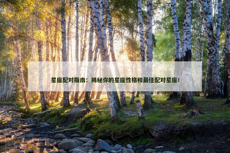 星座配对指南：揭秘你的星座性格和最佳配对星座！