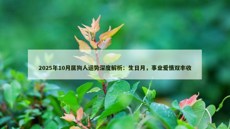 2025年10月属狗人运势深度解析：生日月，事业爱情双丰收