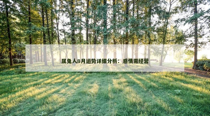 属兔人8月运势详细分析：感情需经营