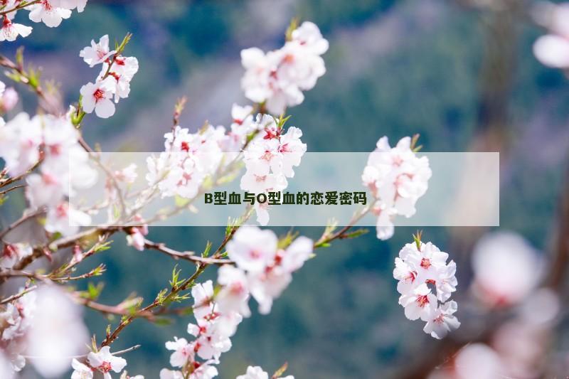 B型血与O型血的恋爱密码