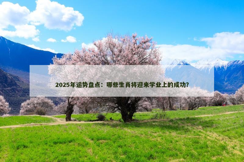 2025年运势盘点：哪些生肖将迎来学业上的成功？