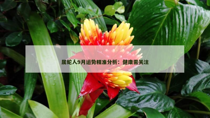 属蛇人9月运势精准分析：健康需关注
