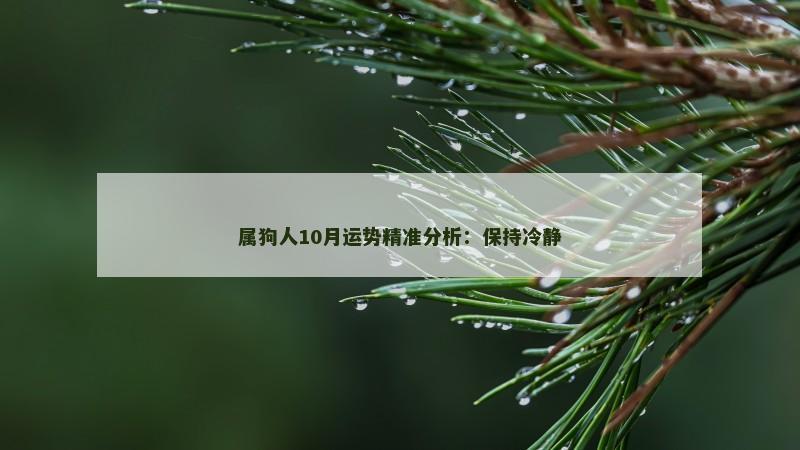 属狗人10月运势精准分析：保持冷静