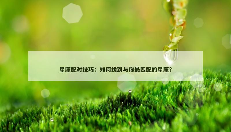 星座配对技巧：如何找到与你最匹配的星座？