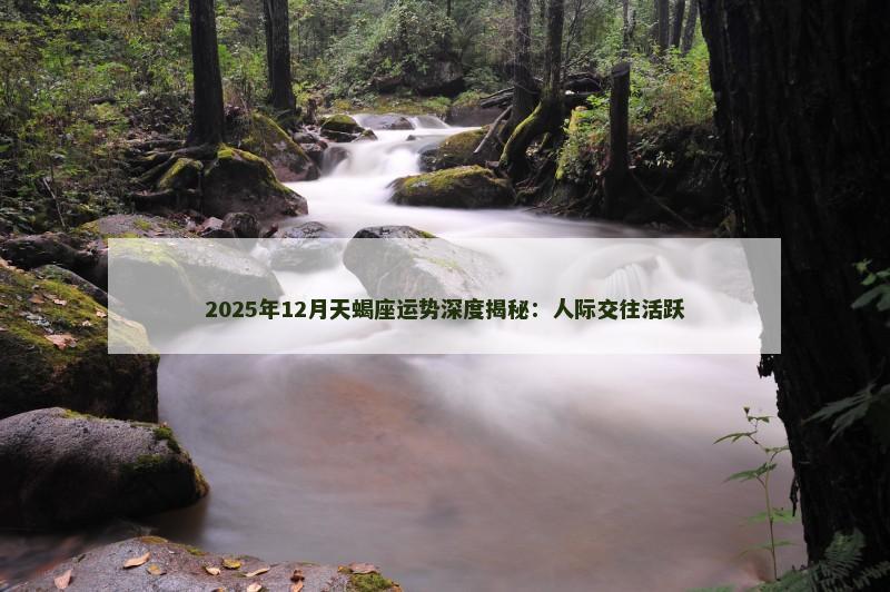 2025年12月天蝎座运势深度揭秘：人际交往活跃