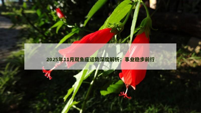 2025年11月双鱼座运势深度解析：事业稳步前行