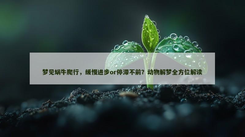 梦见蜗牛爬行，缓慢进步or停滞不前？动物解梦全方位解读