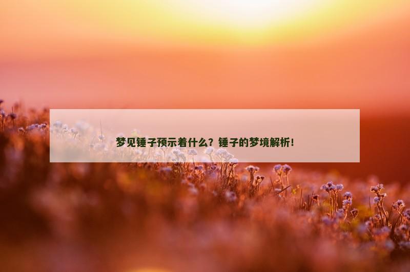梦见锤子预示着什么？锤子的梦境解析！