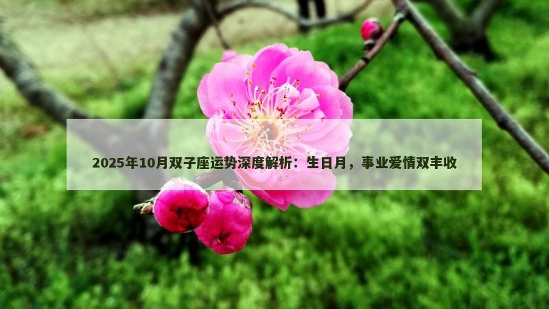 2025年10月双子座运势深度解析：生日月，事业爱情双丰收