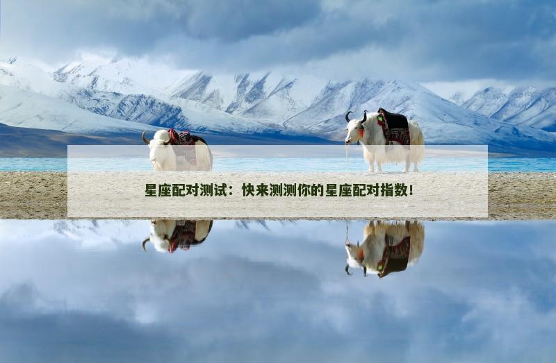 星座配对测试：快来测测你的星座配对指数！