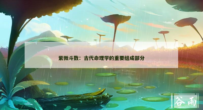 紫微斗数：古代命理学的重要组成部分