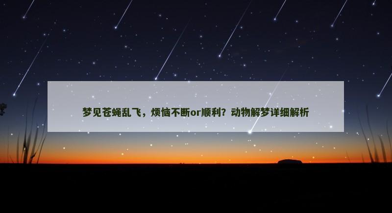 梦见苍蝇乱飞，烦恼不断or顺利？动物解梦详细解析
