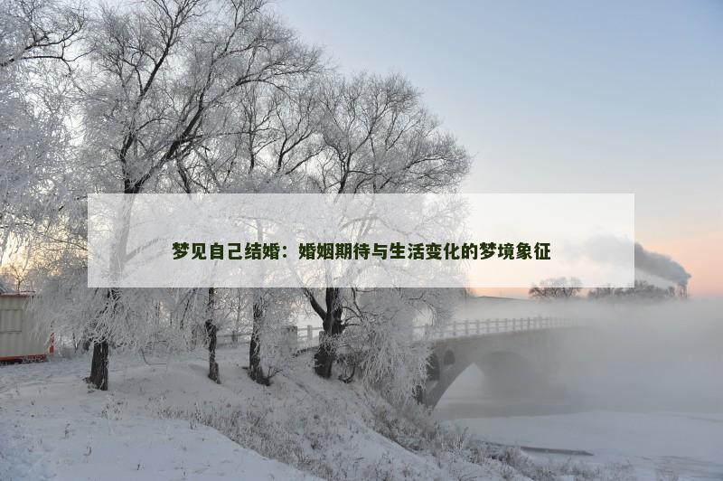 梦见自己结婚：婚姻期待与生活变化的梦境象征