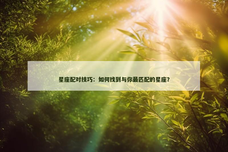星座配对技巧：如何找到与你最匹配的星座？