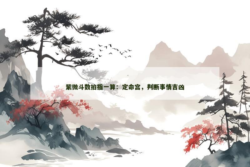 紫微斗数掐指一算：定命宫，判断事情吉凶