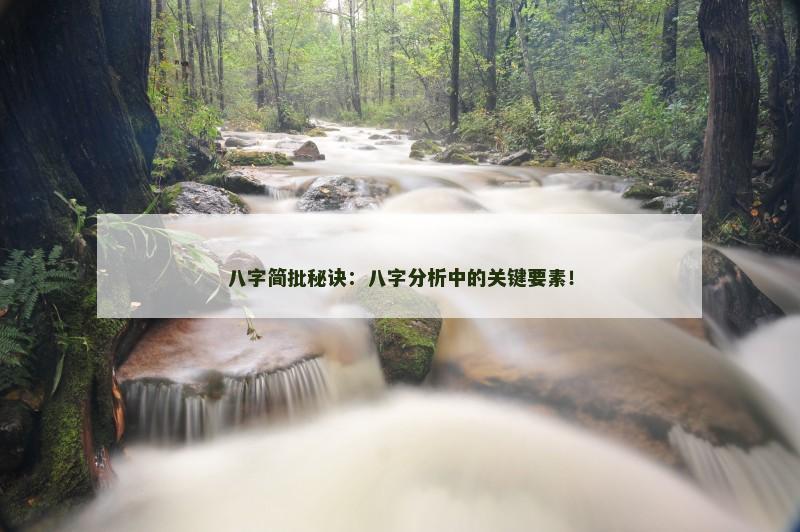 八字简批秘诀：八字分析中的关键要素！