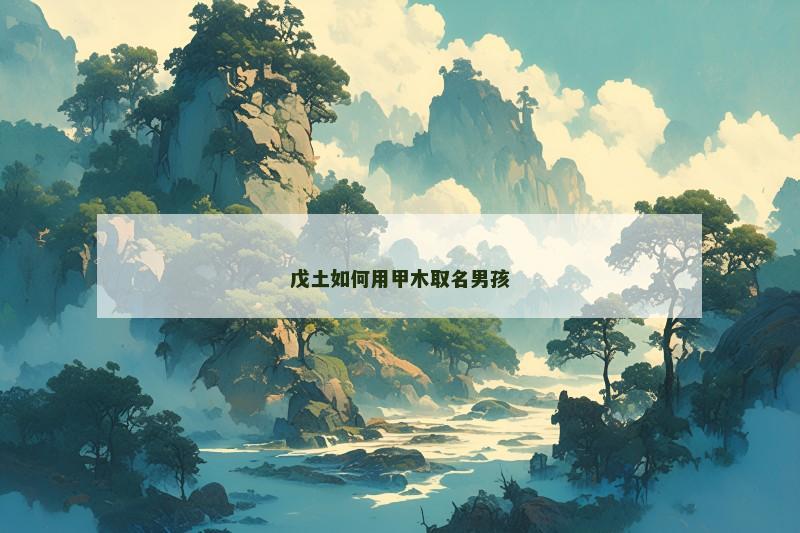 戊土如何用甲木取名男孩