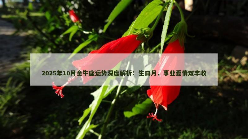 2025年10月金牛座运势深度解析：生日月，事业爱情双丰收