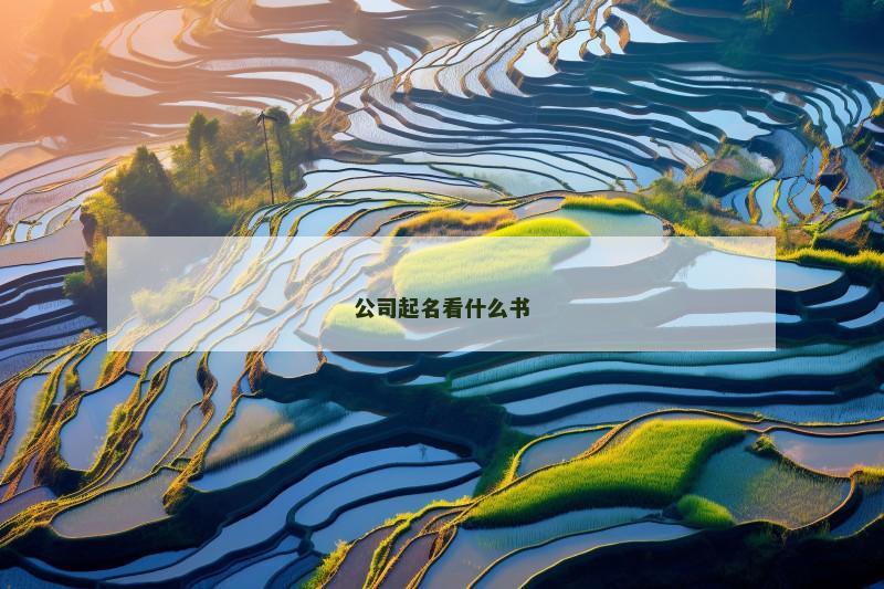公司起名看什么书