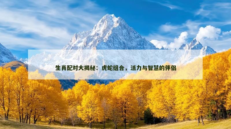 生肖配对大揭秘：虎蛇组合，活力与智慧的伴侣