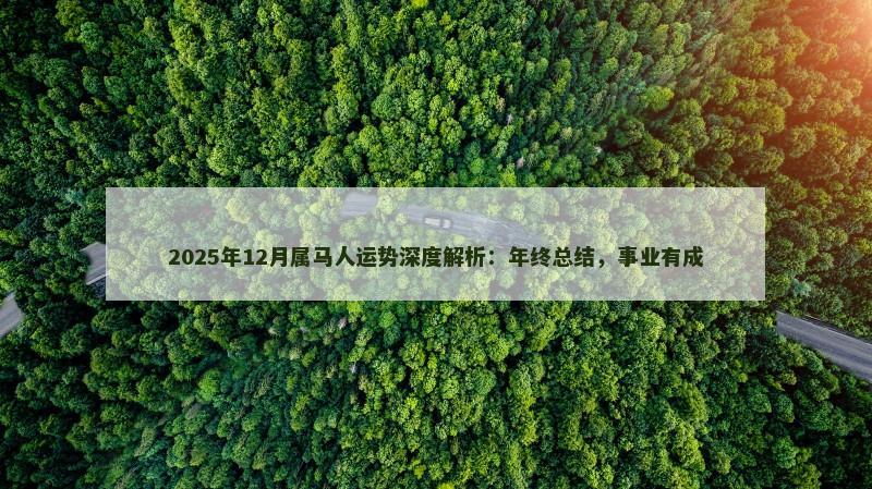 2025年12月属马人运势深度解析：年终总结，事业有成