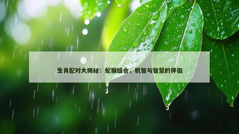 生肖配对大揭秘：蛇猴组合，机智与智慧的伴侣