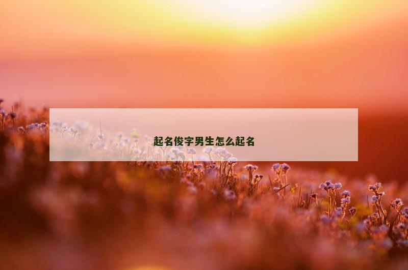 起名俊字男生怎么起名